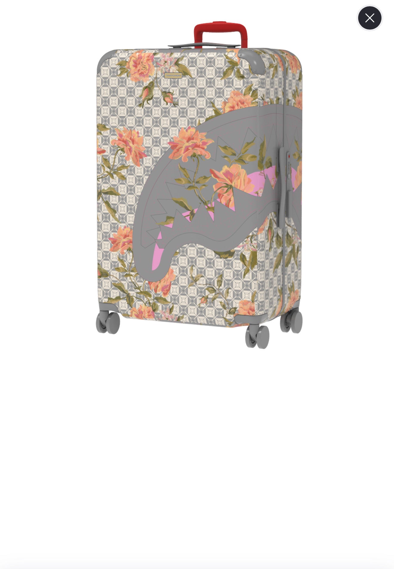 Sprayground Luggage